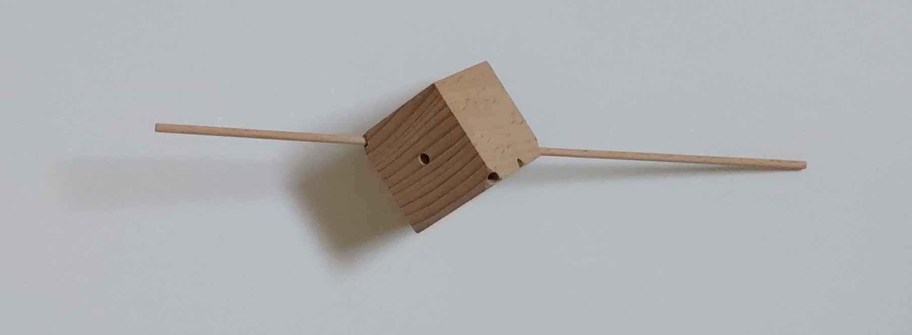 Froebel Project